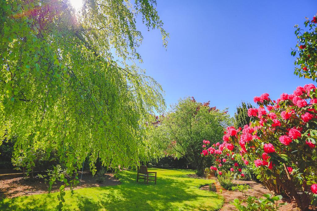 וואטרפורד Diamond Hill Country House מראה חיצוני תמונה